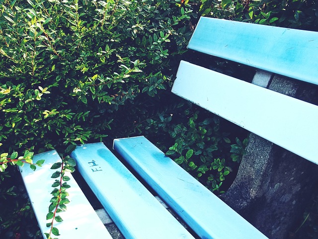 国篮球向更 国篮球向更