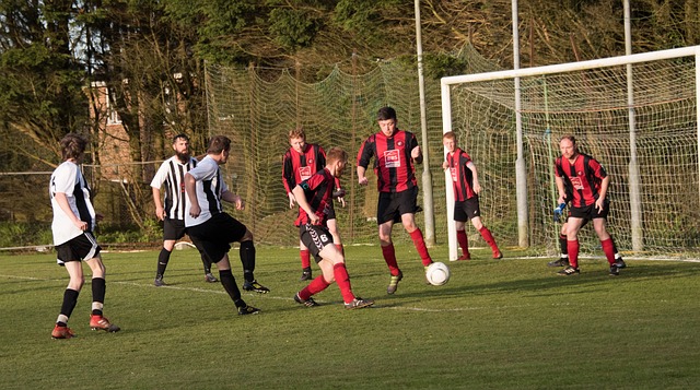 展示了令人 展示了令人