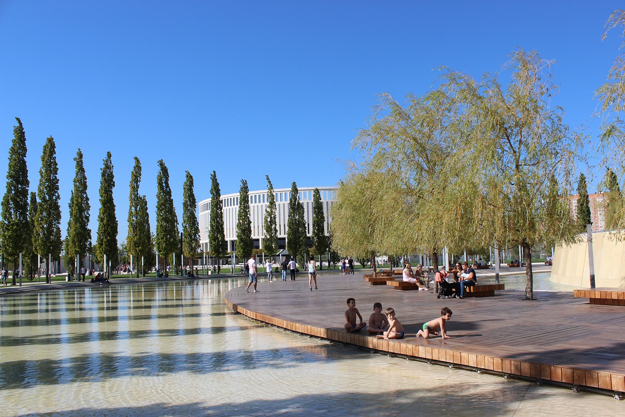 定的原因到 定的原因到